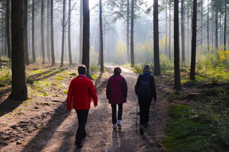 Foto: Amerongse Bos