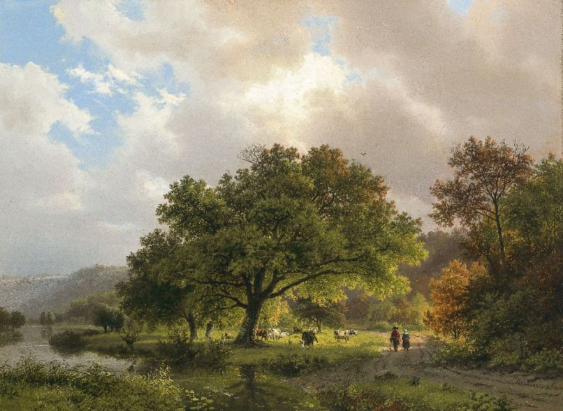 Foto: Wodanseik bij het Wylerbergmeer
