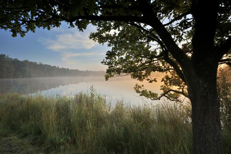 Foto: Leersumse Veld