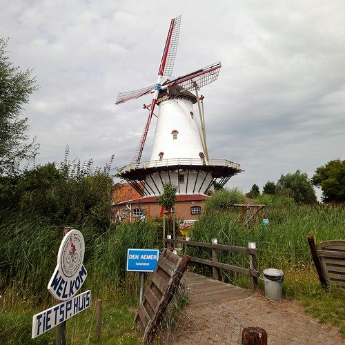 Foto: Graanhalm