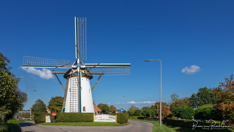Foto: Rockanje