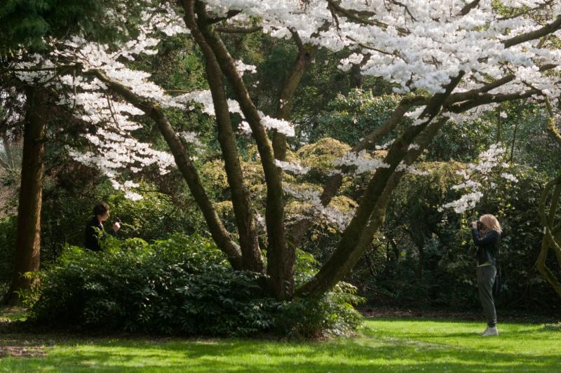 Foto: Arboretum