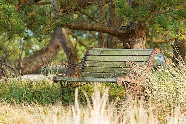 Foto: Picknickplaats