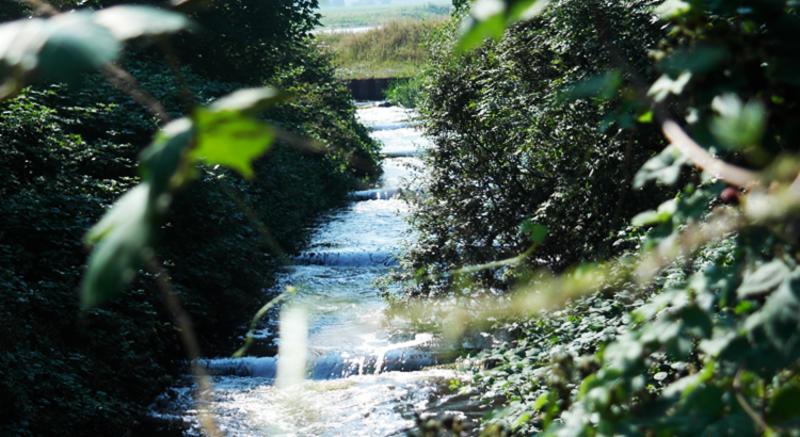 Foto: Vistrappen – stuw Junne