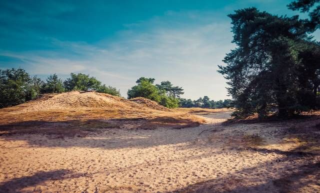 Foto: Boshuizerbergen