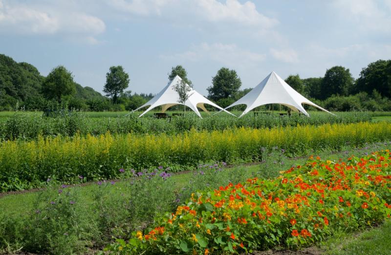 Foto: A. Vogeltuinen/ Zorgboerderij Westbroek