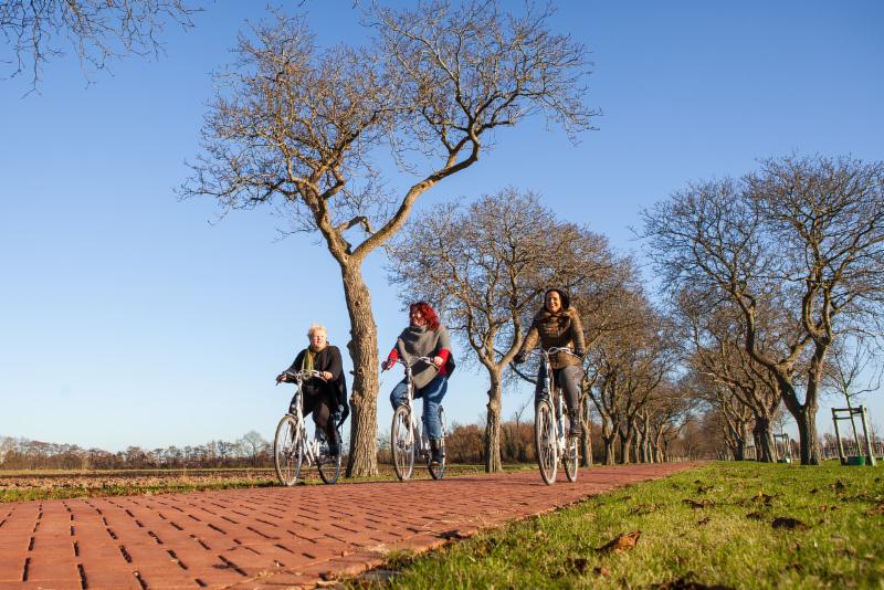 Foto: Park Lingezegen