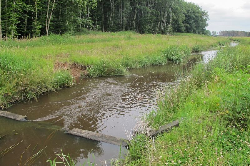 Foto: Rivier Ruiten Aa