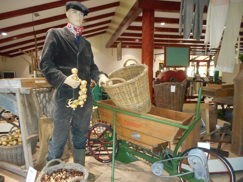 Foto: Museum Historisch Harenkarspel