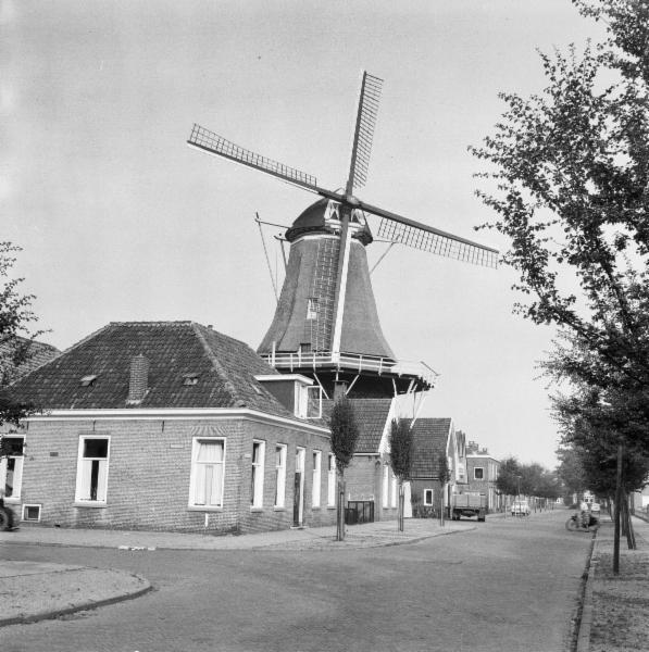Foto: De Zwaluw