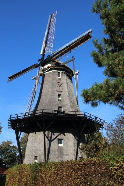 Foto: Korenmolen de Zandhaas