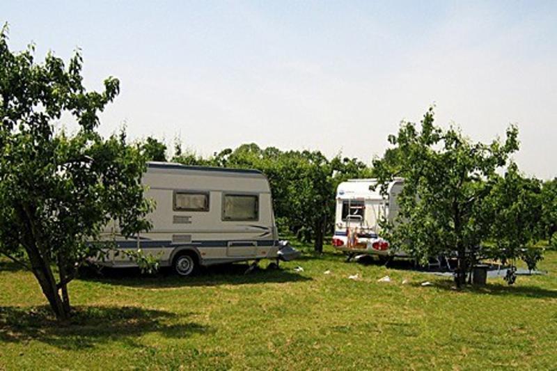 Foto: Boerderijterras en Camping het Spikkerdal