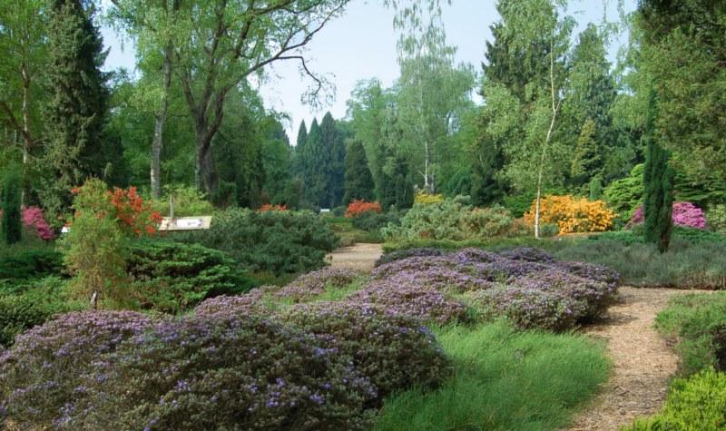Foto: Von Gimborn Arboretum