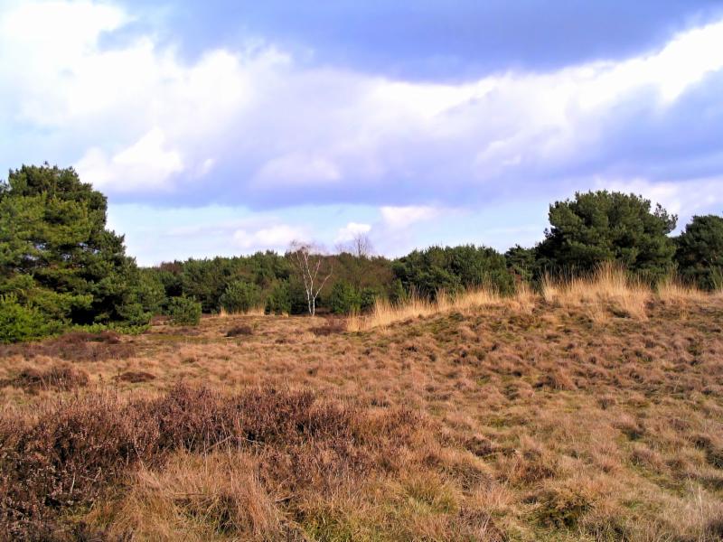Foto: Prehistorische urnenvelden