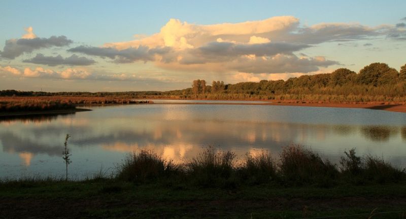 Foto: Meerlebroek