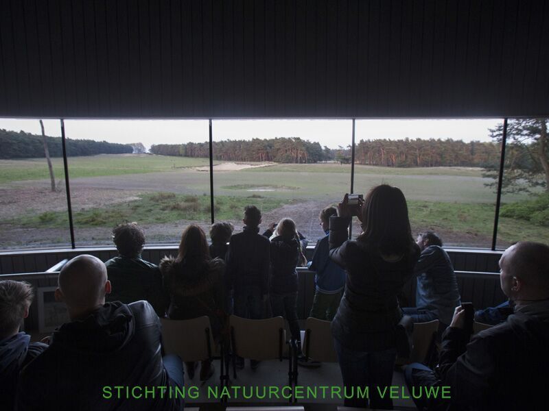 Foto: De Hindekamp