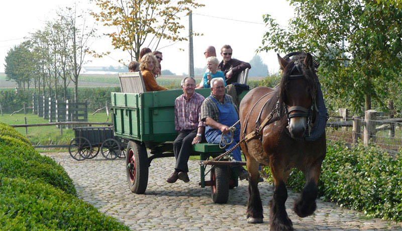 B&B Speghelhof