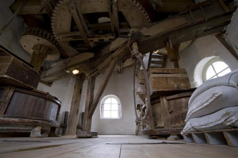 Foto: Doornboom