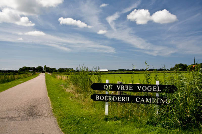 De Vrije Vogel