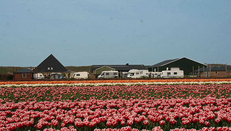 Camping Duinzoomhoeve
