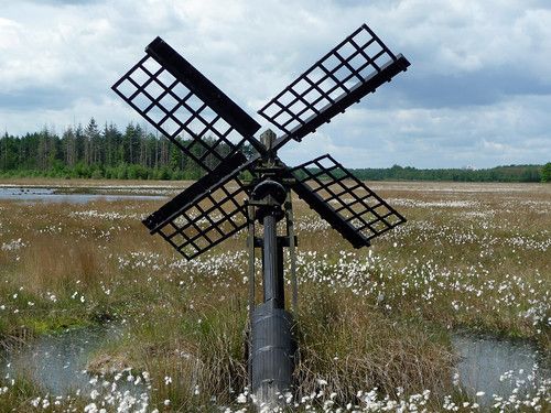 Foto: Molen van Grolloo
