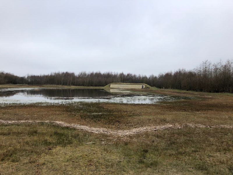 Foto: Oeverzwaluwwand op landgoed 'het Noasman'