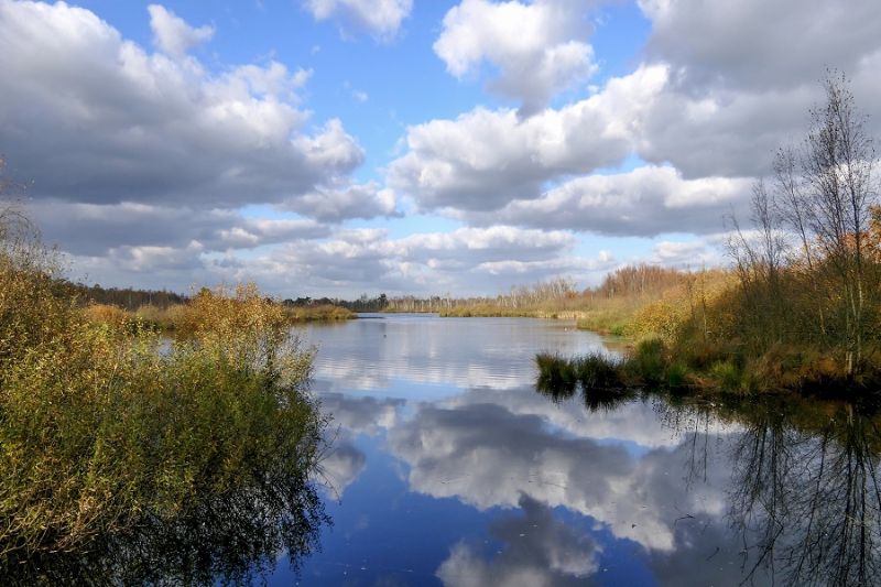 Foto: Meerbaansblaak