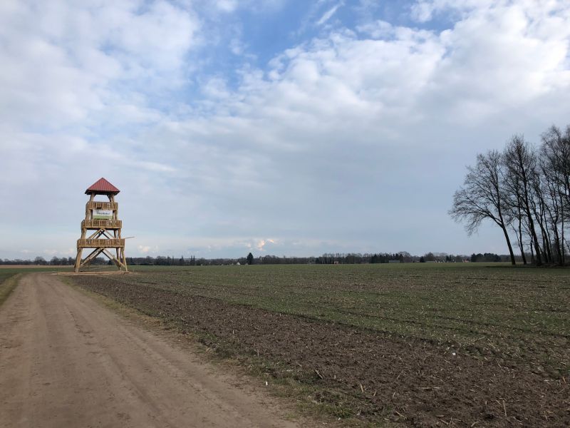 Foto: Uitkijktoren Needse Berg
