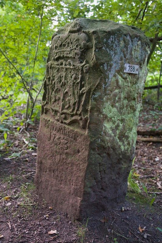 Foto: Grenspalen in het bos