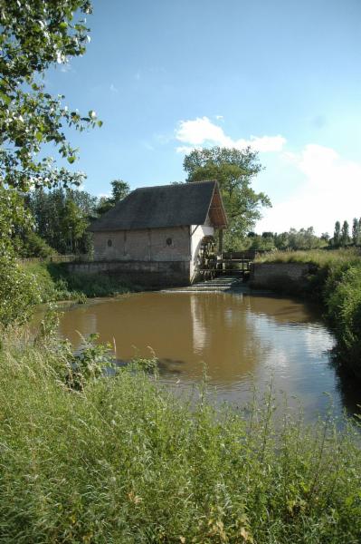 Foto: Laermolen