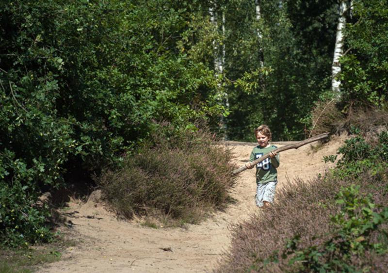 Foto: Geluksplek 2 Roerdalen: De Stuifduinen van Rozendaal