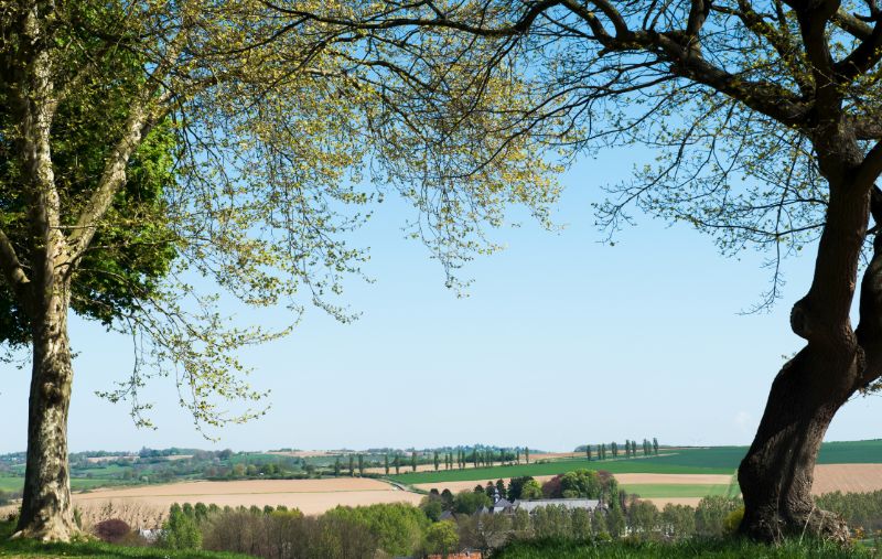 Foto: Camping Gulperberg