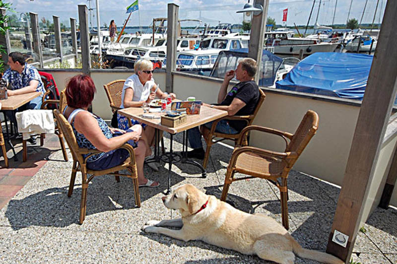 Foto: Strandpaviljoen “De Jutter”