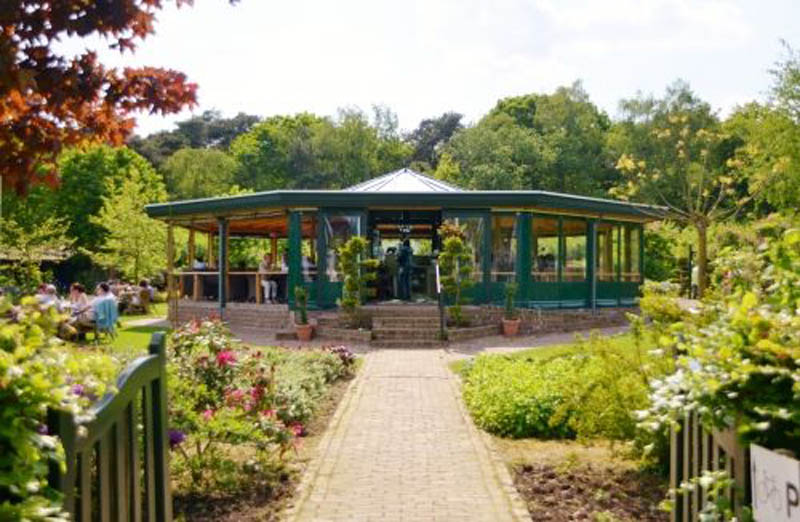 Foto: Theetuin De Roode Vennen