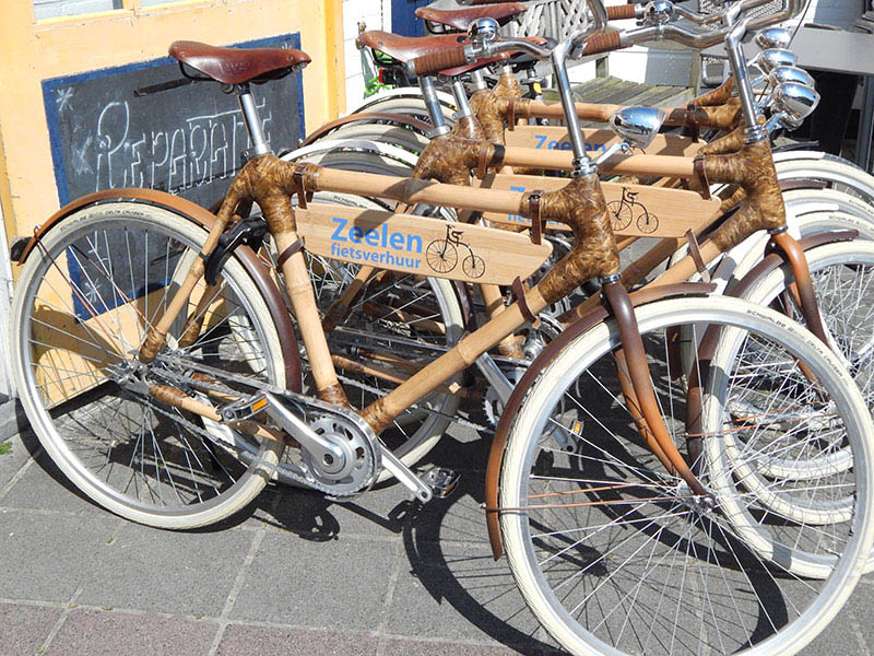 Foto: Zeelen Vlieland