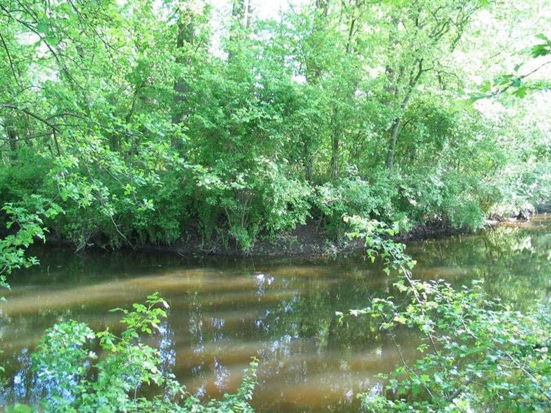 Foto: Lievendaal
