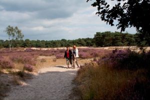 Noordertuin van Antwerpen