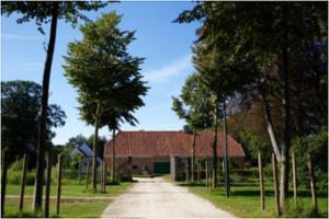 Schranshoeve - oprijlaan