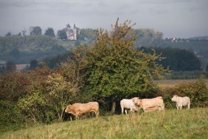 Toerisme Borgloon - 3
