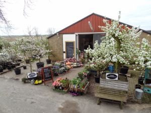 Fruitboerderij Vink