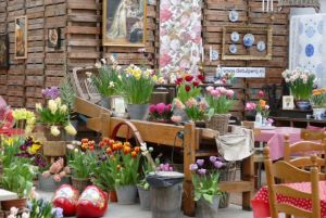 Tulip farm De Tulperij
